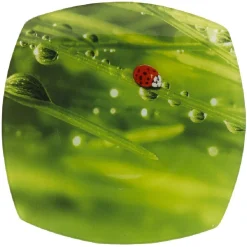 Gifi Assiette plate carrée verte design coccinelle| Vaisselle Et Accessoires De Table