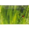 Gifi Assiette plate rectangulaire verte design coccinelle| Vaisselle Et Accessoires De Table