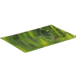 Gifi Assiette plate rectangulaire verte design coccinelle| Vaisselle Et Accessoires De Table