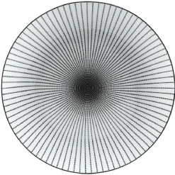 Vaisselle Et Accessoires De Table<Gifi Assiette plate ronde blanche rayon noir