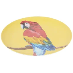 Gifi Assiette ronde en résine mélaminée design exotique| Vaisselle Et Accessoires De Table