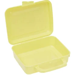 Conservation Alimentaire<Gifi Boîte à sandwich rectangulaire avec anse plastique vert 16x20xH7cm