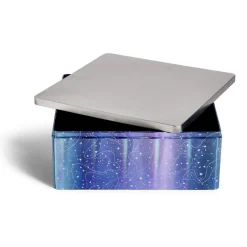 Conservation Alimentaire<Gifi Boîte alimentaire carré en fer décor bleu et argenté 26x26xH10cm