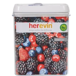 Conservation Alimentaire<Gifi Boîte de conservation alimentaire transparente 1,8L