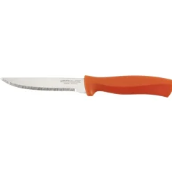 Préparation Culinaire<Gifi Couteau à steak lame inox 10 cm