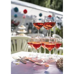 Gifi Lot de 10 verres à ballon transparents 19cl| Vaisselle Et Accessoires De Table