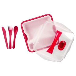 Conservation Alimentaire<Gifi Lunch box compartimentée avec couverts