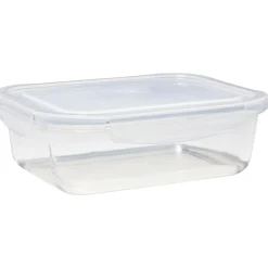 Conservation Alimentaire<Gifi Lunchbox en verre x2 avec couvercle 640ml et 1,05L