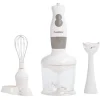 Petit Électroménager<Gifi Mixeur 3 en 1 Homday