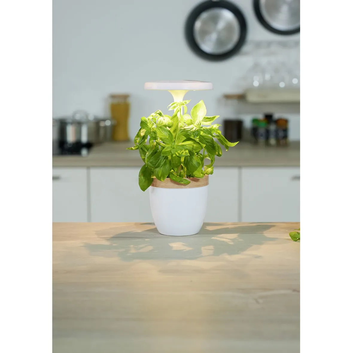Gifi Potager d'intérieur à éclairage led CECOA| Vaisselle Et Accessoires De Table