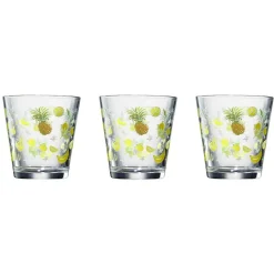 Gifi Verre conique bas motif exotique 25,5 cl x3| Vaisselle Et Accessoires De Table